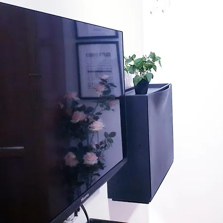 Sandra In The Historical Center Of The Apartment