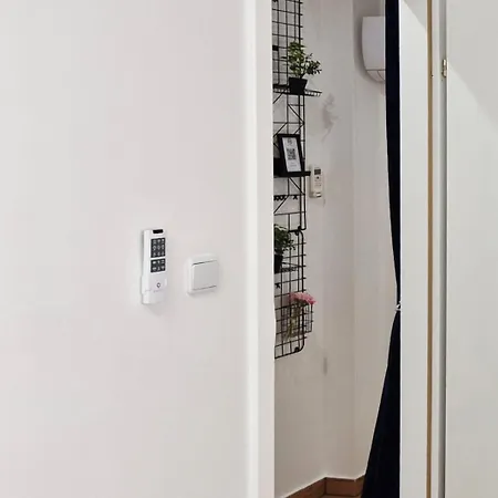 Appartement Sandra In The Historical Center Of The