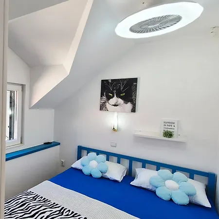Appartement Sandra In The Historical Center Of The *